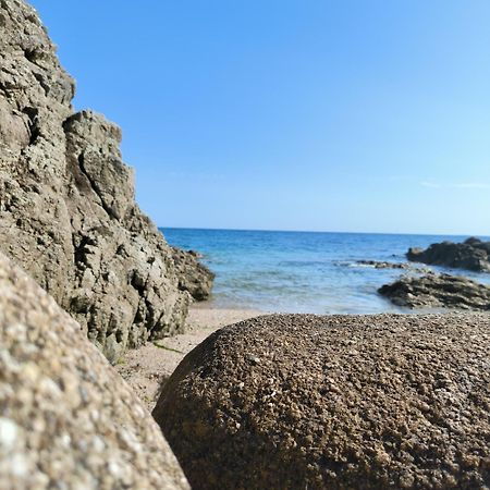 La Suite Appartement Pleine Vue Mer Concarneau Eksteriør billede